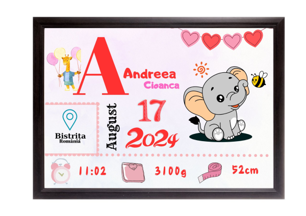 Tablou Personalizat cu Datele de Naștere ale Copilului – Dimensiune 30x40 cm - imagine 16
