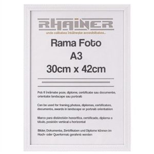 Rama foto Leon alb texturat A3