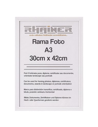 Rama foto Leon alb texturat A3