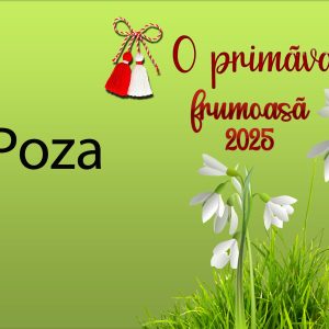 Magneti Frigider Personalizati 10x15